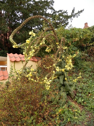 Оденсе - город Андерсена