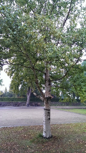 Оденсе - город Андерсена