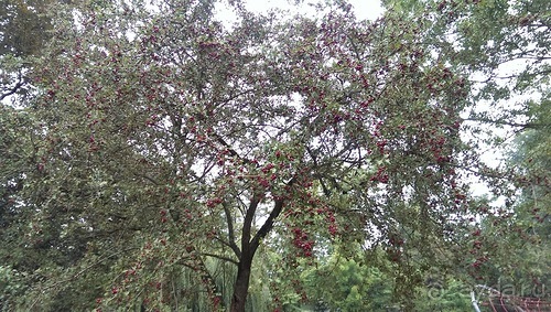 Оденсе - город Андерсена