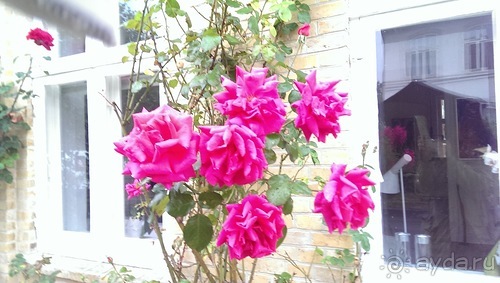 Оденсе - город Андерсена