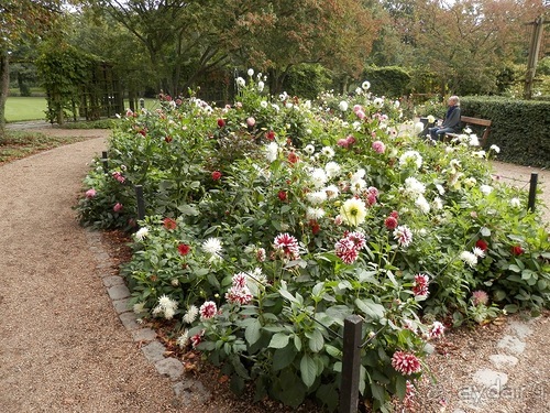 Оденсе - город Андерсена