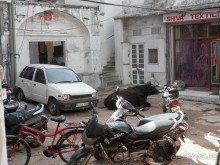 Джайпур - дворец магараджей, магазины и этническая деревня