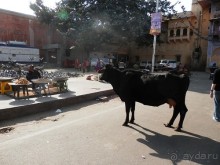 Джайпур - дворец магараджей, магазины и этническая деревня