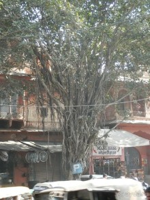 Джайпур - дворец магараджей, магазины и этническая деревня