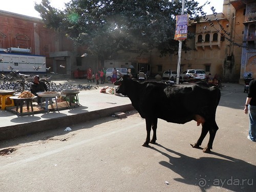 Джайпур - дворец магараджей, магазины и этническая деревня