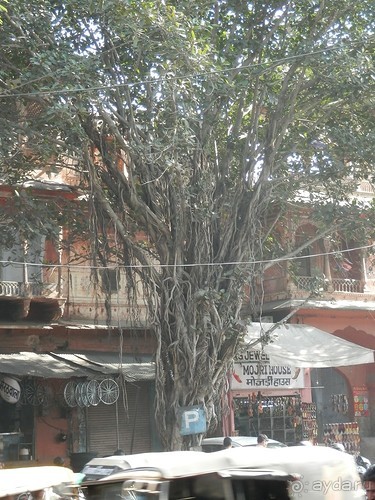 Джайпур - дворец магараджей, магазины и этническая деревня