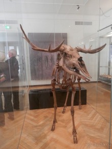 Национальный музей в Копенгагене