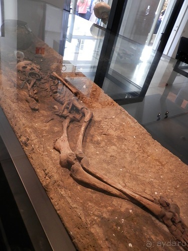 Национальный музей в Копенгагене