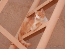 Хива - начинаем экскурсию