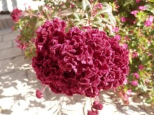 Хива - начинаем экскурсию