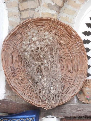 Хива - начинаем экскурсию