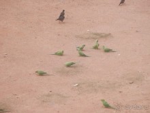 Орчха, часть вторая