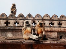 Орчха, часть вторая