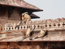 Орчха, часть вторая