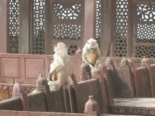 Орчха, часть вторая