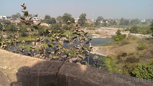 Альбом отзыва "Орчха, часть вторая"