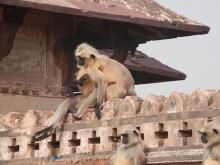 Орчха, часть вторая