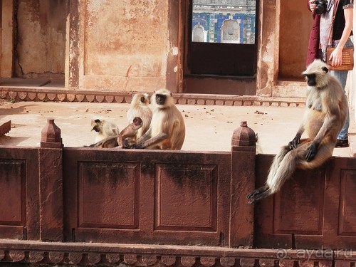 Орчха, часть вторая