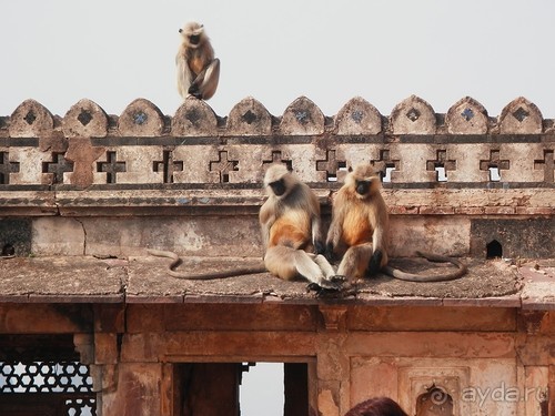 Орчха, часть вторая