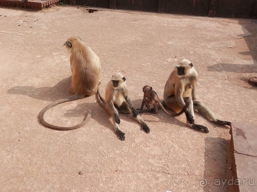 Орчха, часть вторая