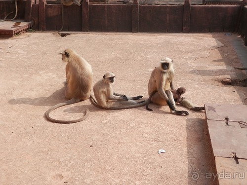 Орчха, часть вторая