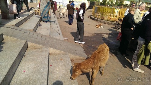 Орчха, часть вторая