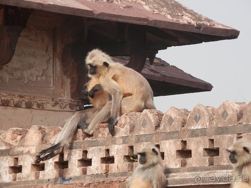 Орчха, часть вторая