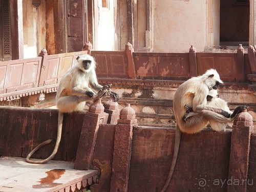 Орчха, часть вторая