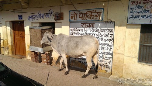 Орчха, часть вторая