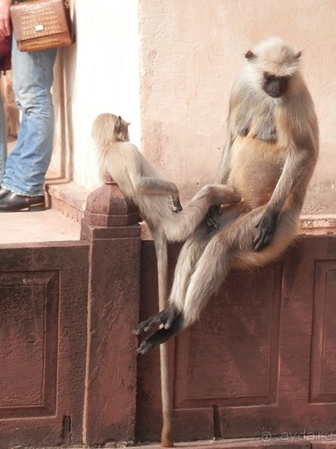 Орчха, часть вторая