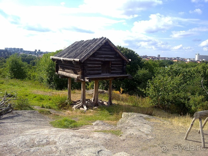 Стокгольм, день третий - Музей биологии и Скансен
