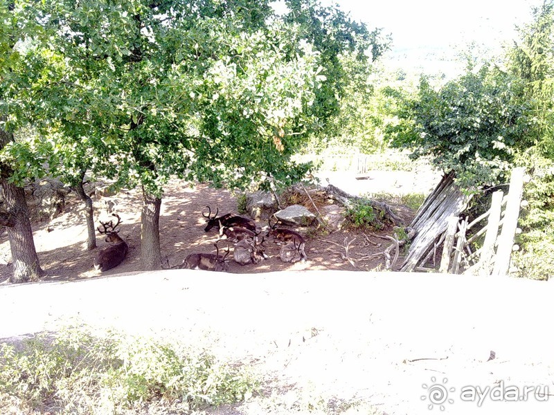 Стокгольм, день третий - Музей биологии и Скансен