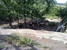 Стокгольм, день третий - Музей биологии и Скансен