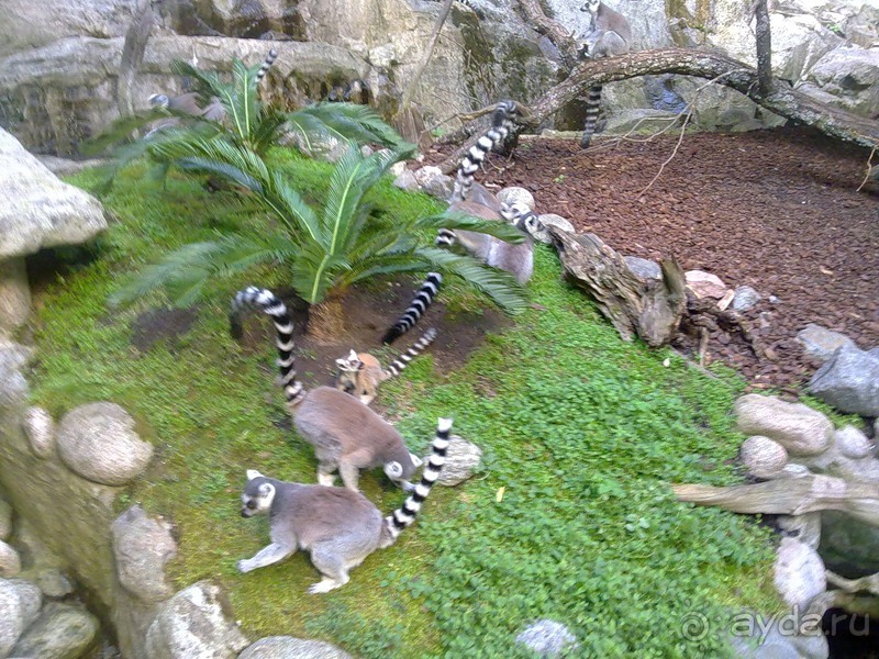 Стокгольм, день третий - Музей биологии и Скансен