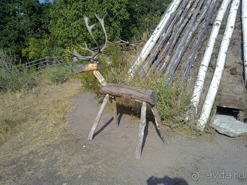 Стокгольм, день третий - Музей биологии и Скансен