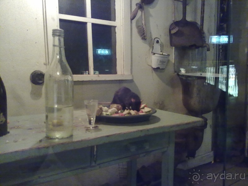 Стокгольм, день третий - Музей биологии и Скансен