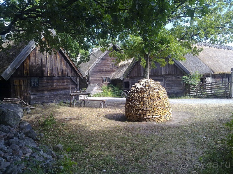 Стокгольм, день третий - Музей биологии и Скансен