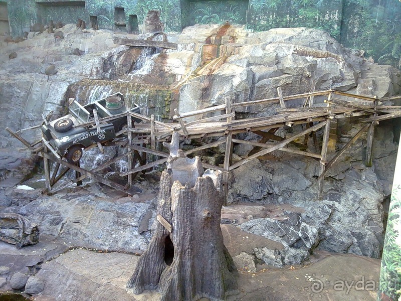 Стокгольм, день третий - Музей биологии и Скансен