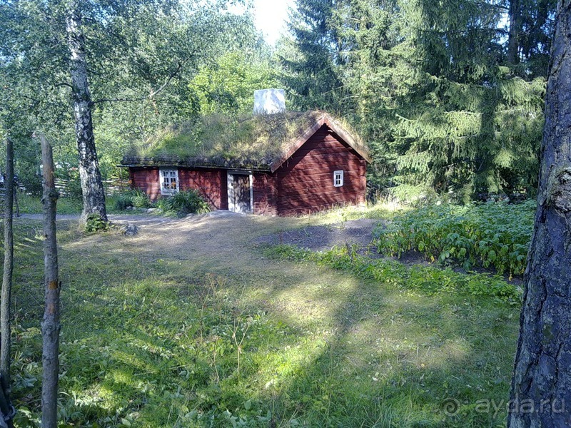 Стокгольм, день третий - Музей биологии и Скансен