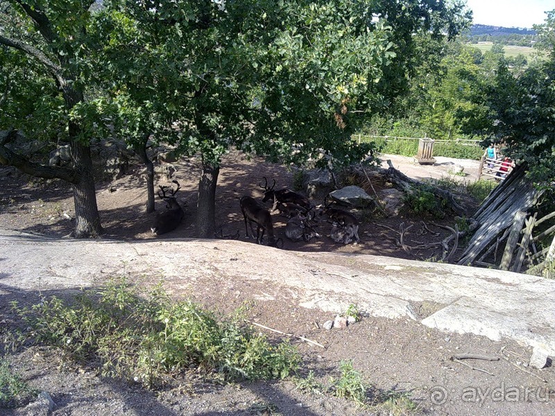 Стокгольм, день третий - Музей биологии и Скансен