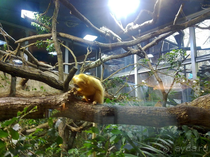 Стокгольм, день третий - Музей биологии и Скансен