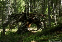 Вершина Восточных Саян