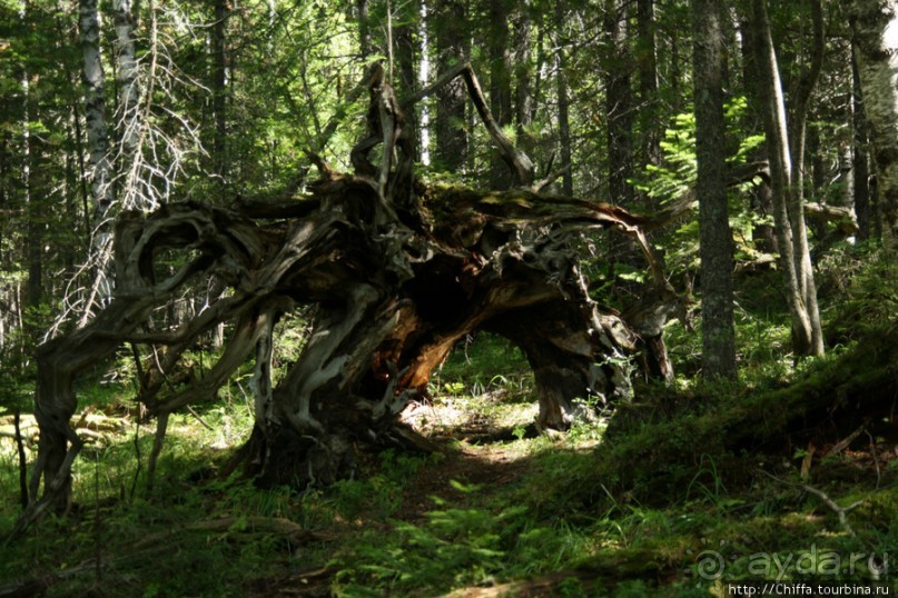 Вершина Восточных Саян