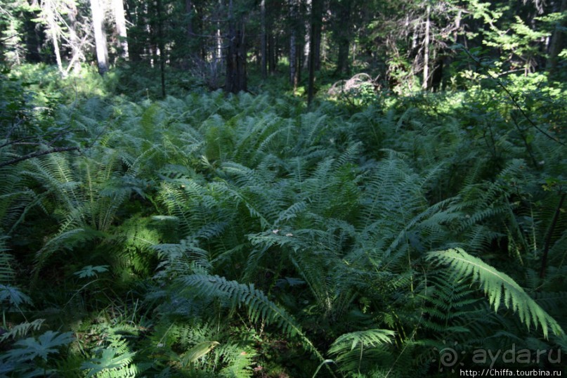 Вершина Восточных Саян