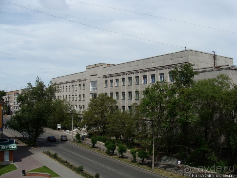 Зелёный город