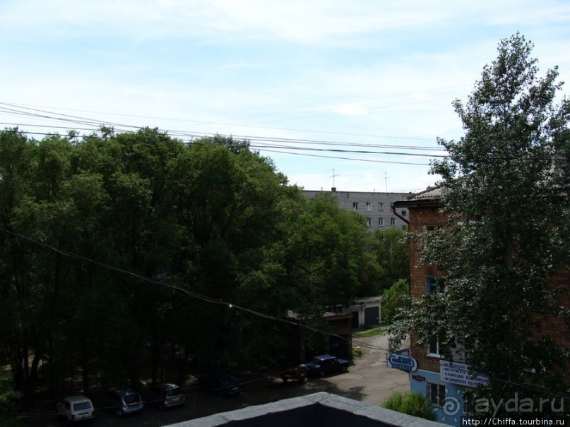 Зелёный город