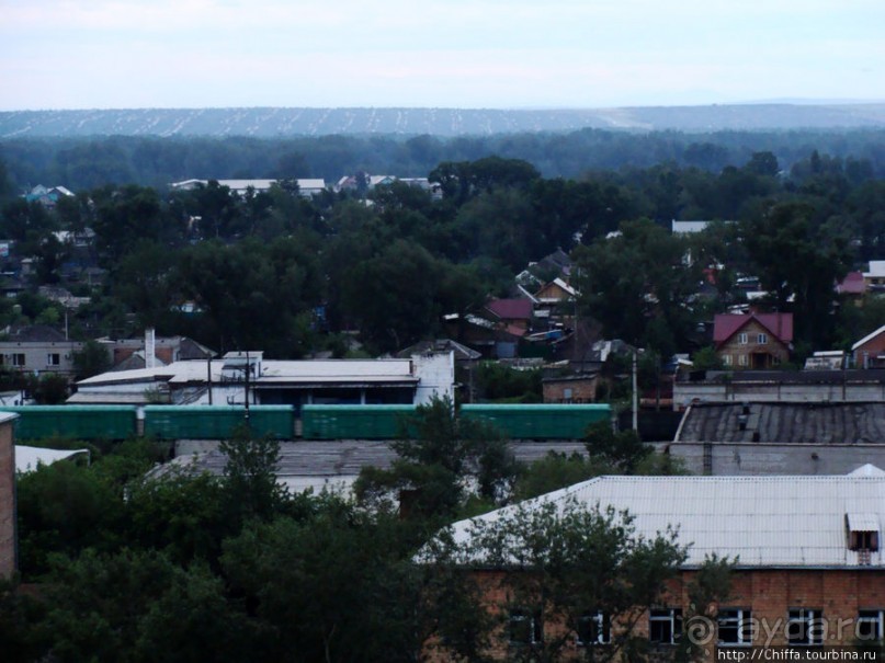 Зелёный город