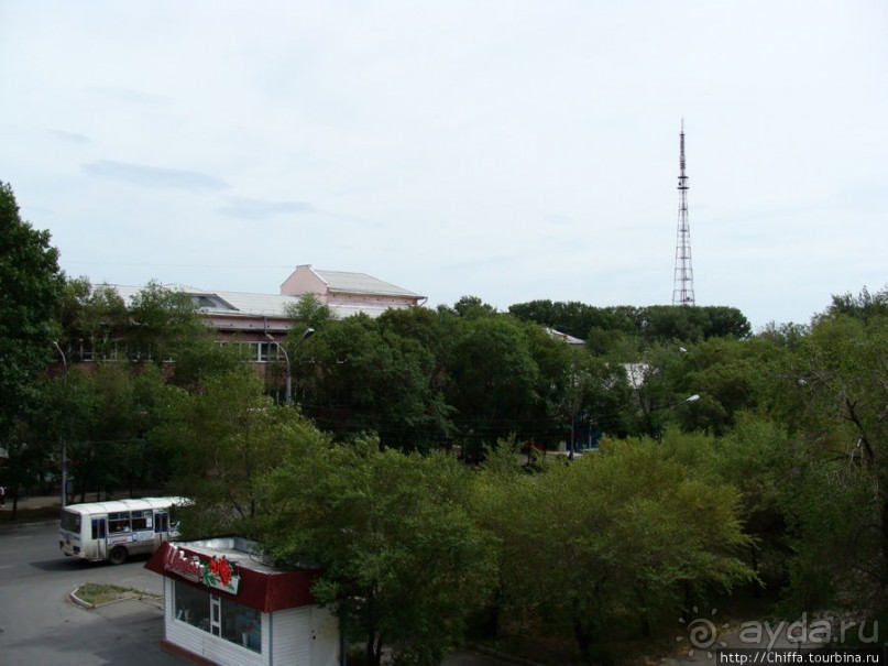 Зелёный город