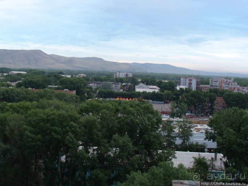 Зелёный город