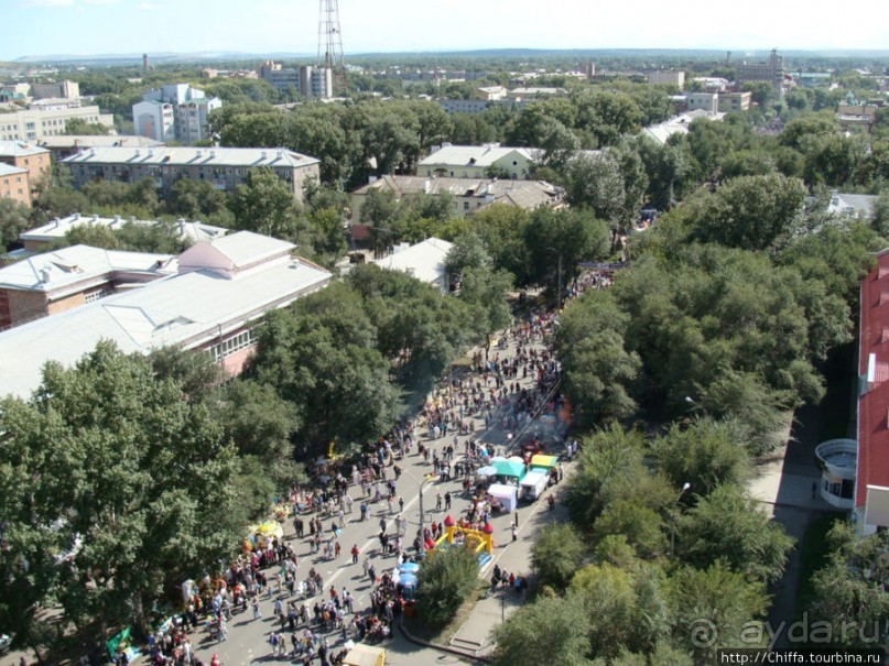 Зелёный город